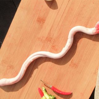 优质星空网页版